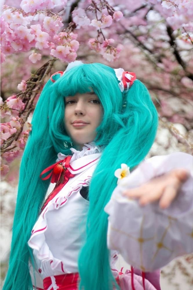 Hatsune Miku strawberry  - Photo 4