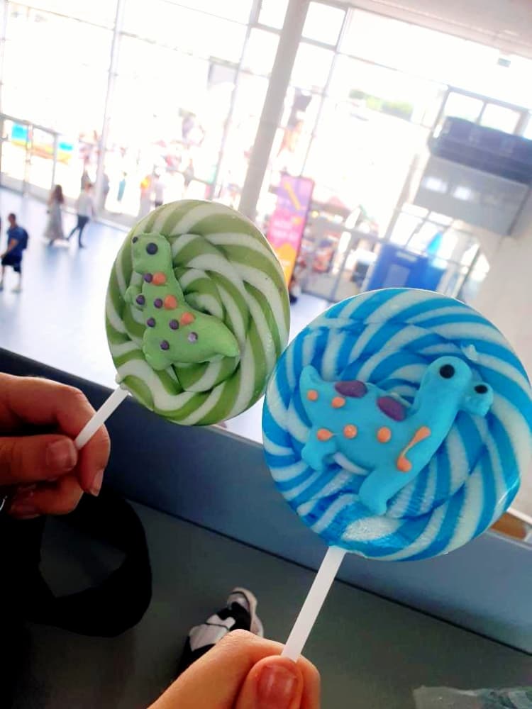 Brant Rover ❤️ - Photo 5