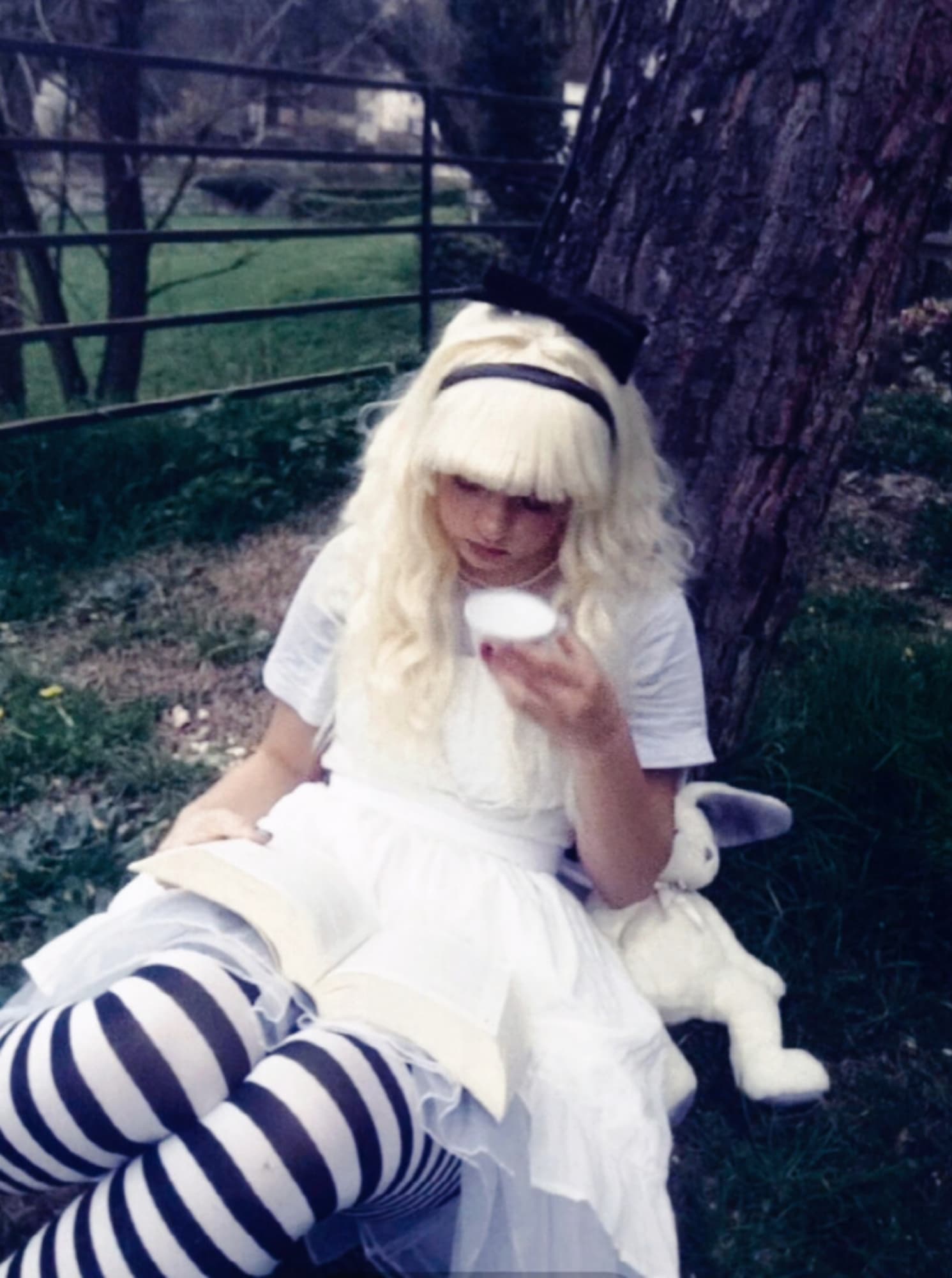 ALICE  - Photo 6