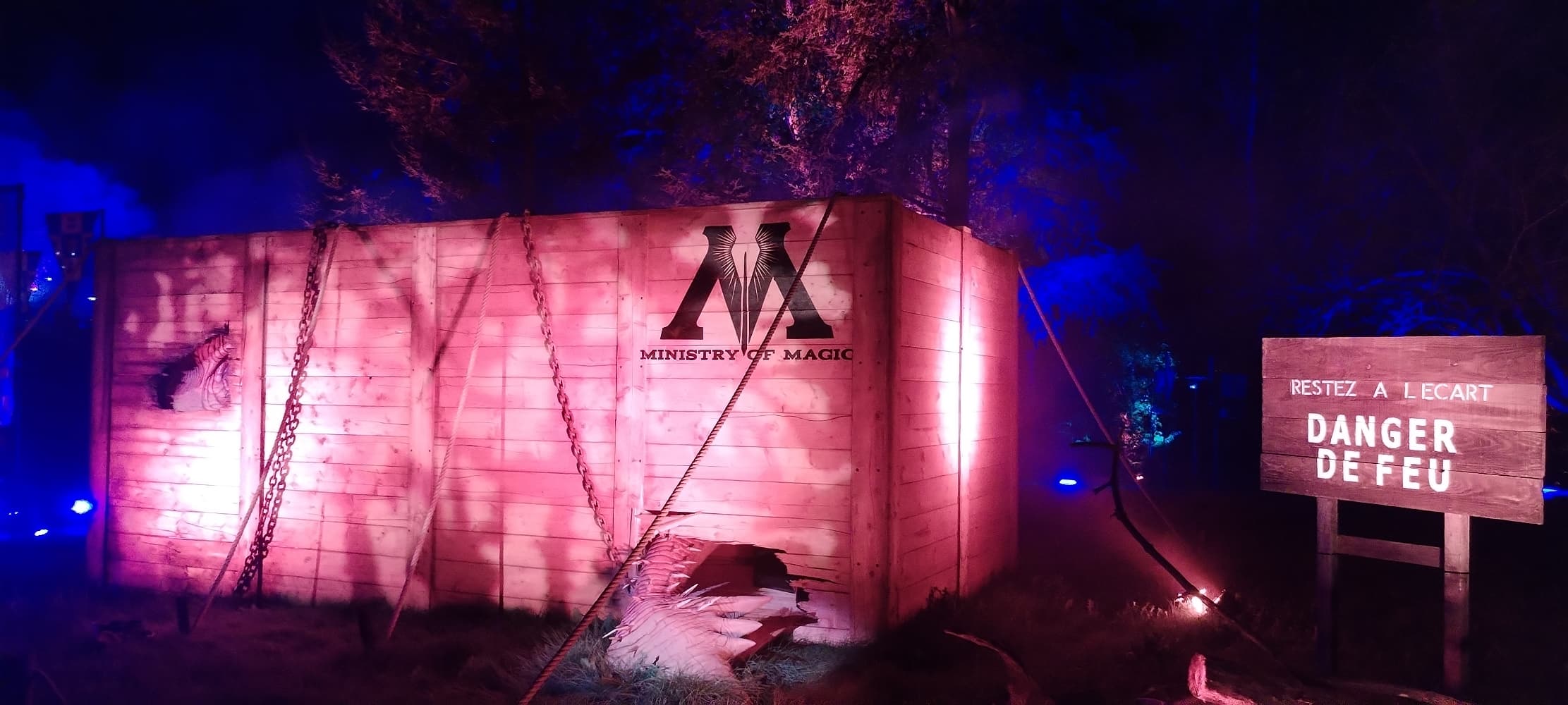 La forêt interdite - Photo 15