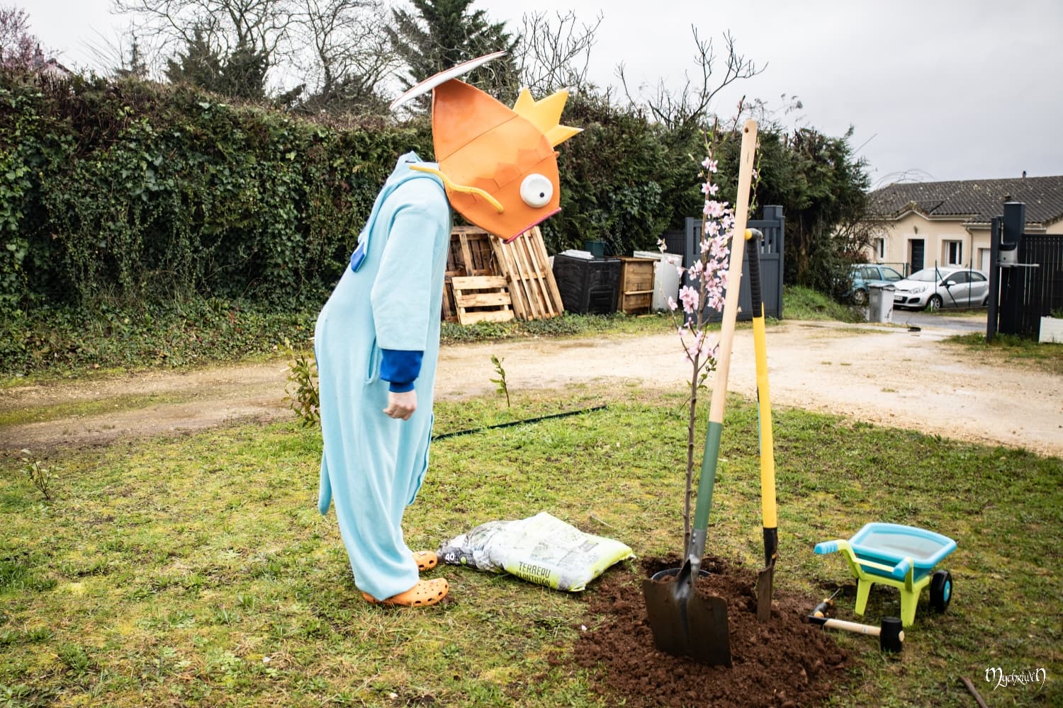 La plantation  - Photo 10