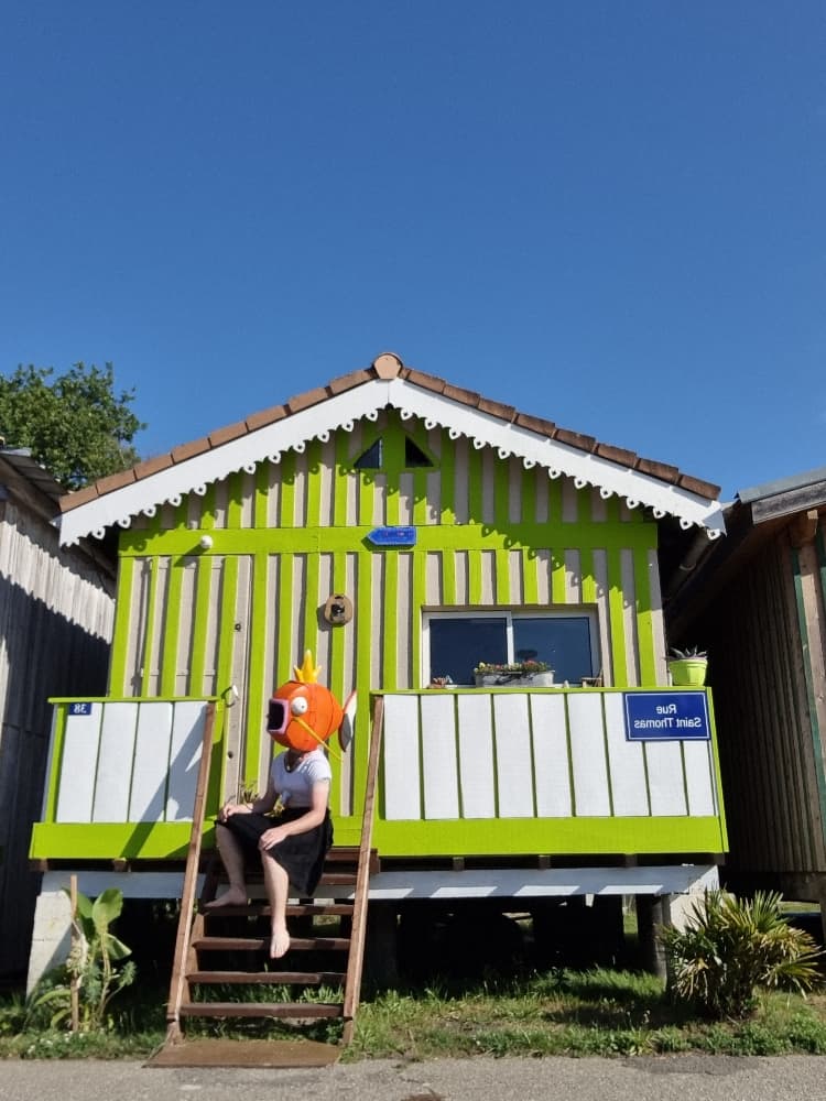 MagicarpettePortBiga - Photo 4