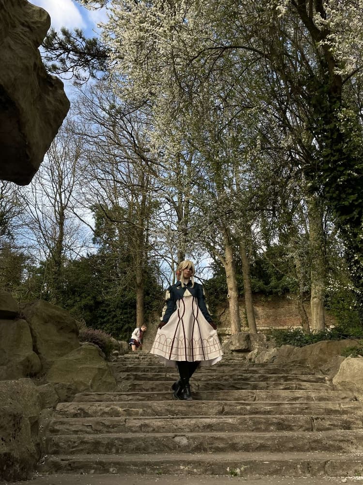 Violet evergardeen  - Photo 4