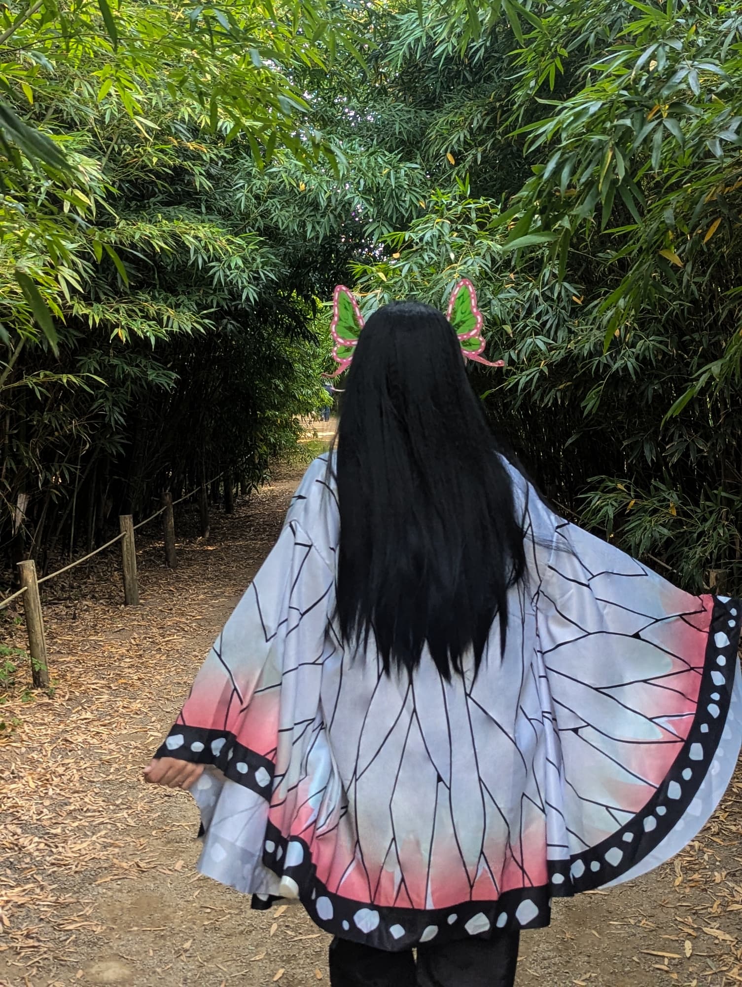 Kanae kojo - Photo 3