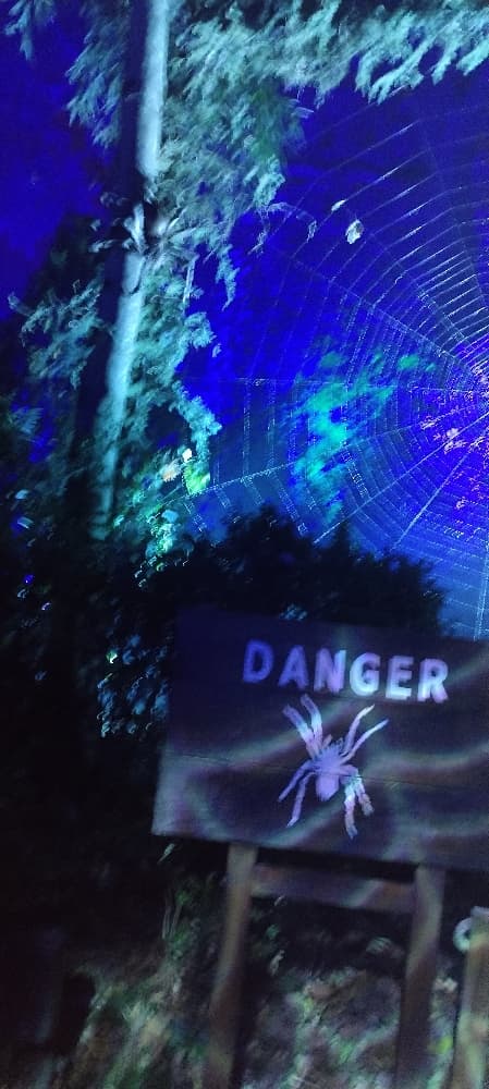 La forêt interdite - Photo 53