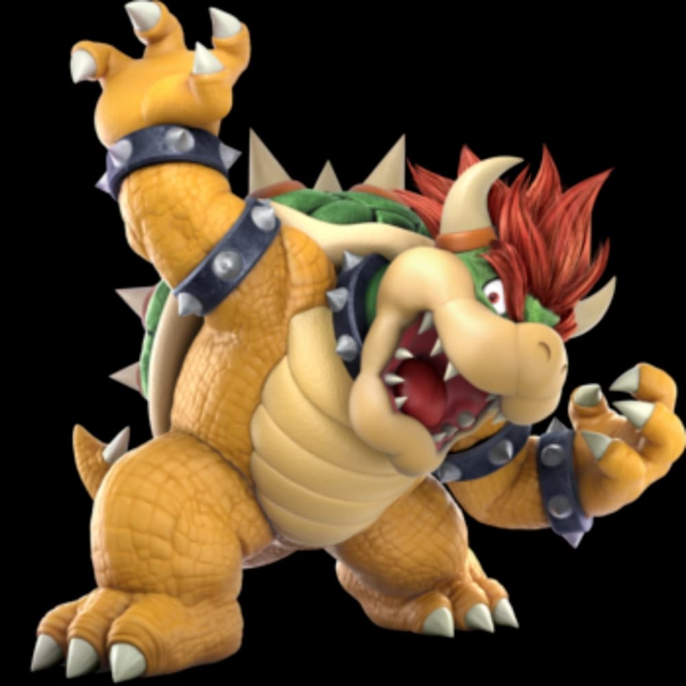 Bowser