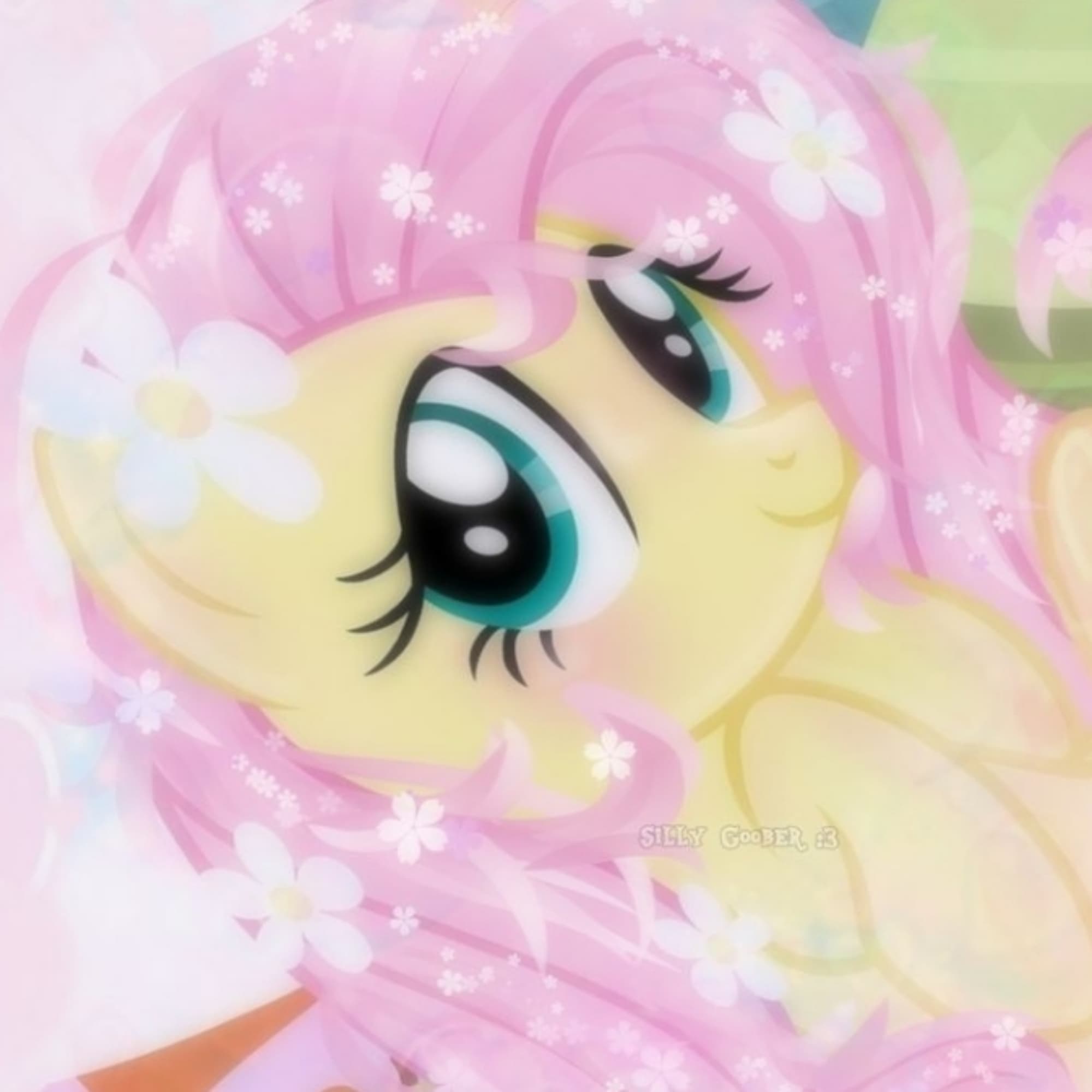 Fluttershy 