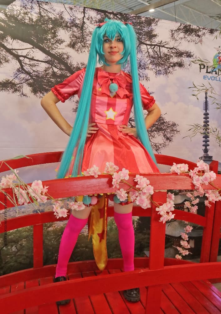 Miku wxs - Photo 4