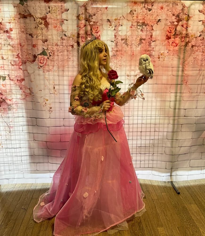 Princesse Aurore - Photo 8