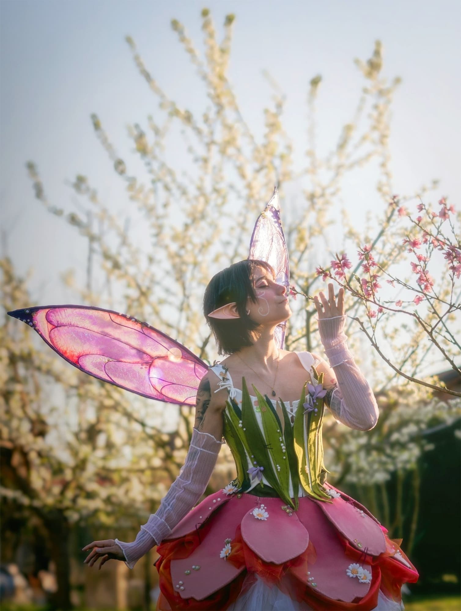 Lale the FairyTulip  - Photo 2