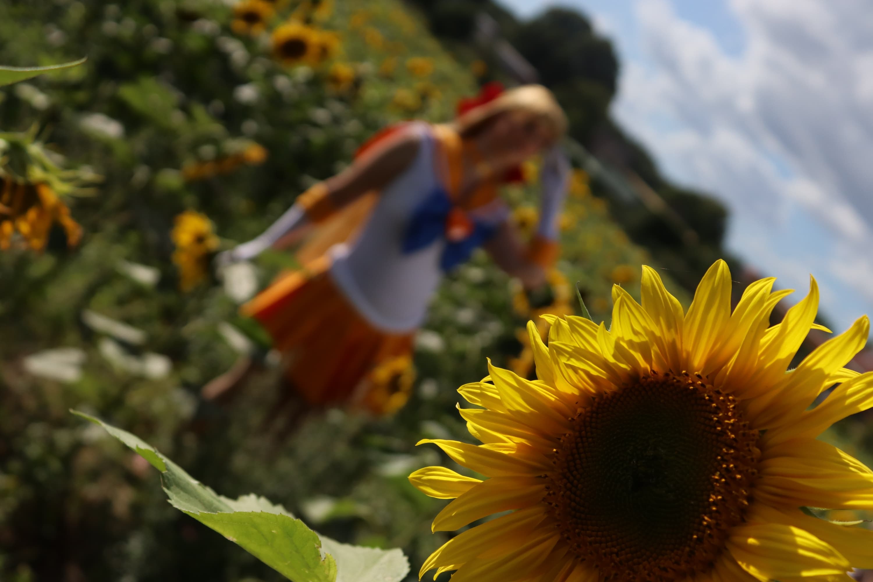 Super Sailor Venus - Photo 2