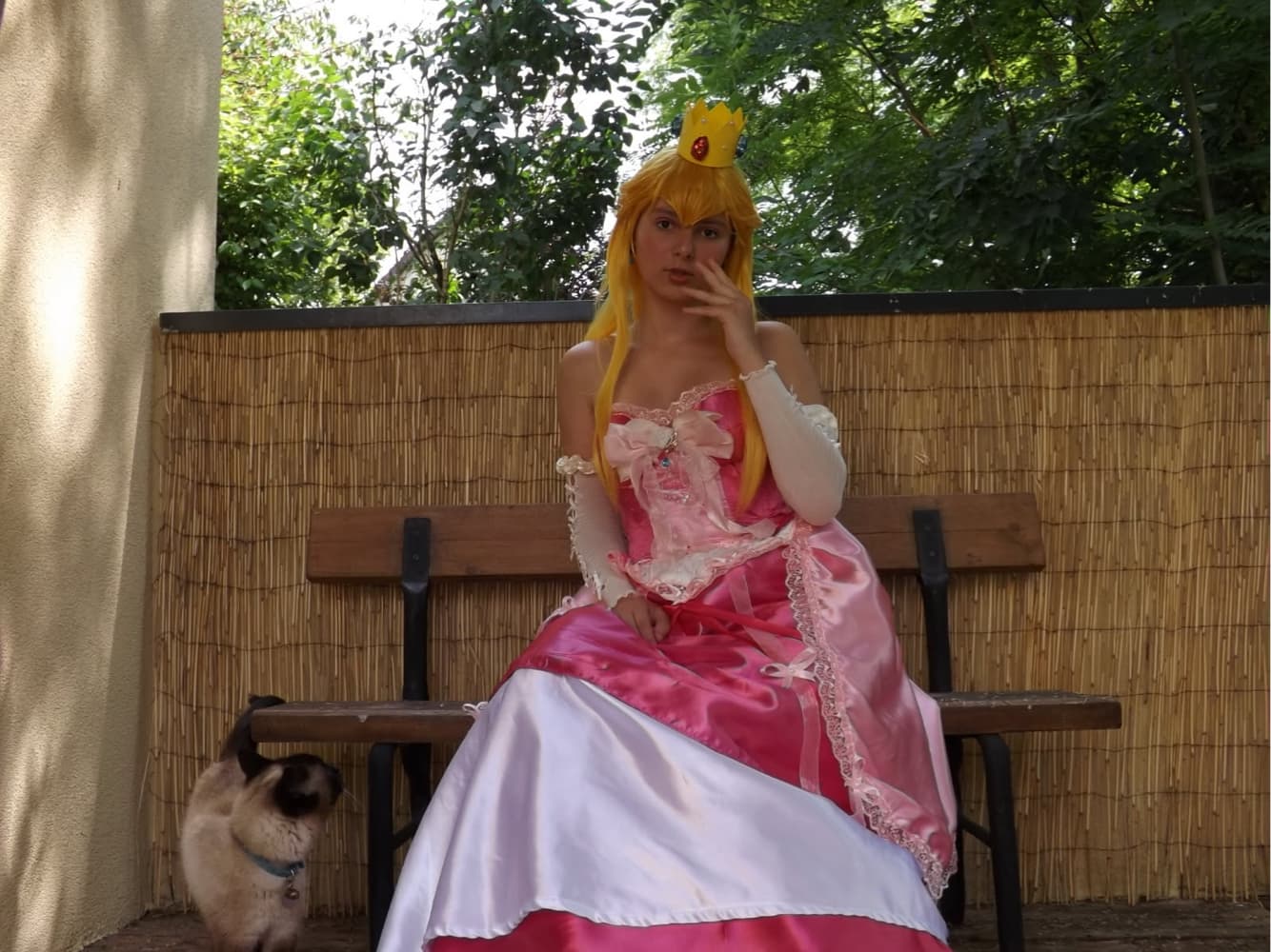 Princesse peach  - Photo 1