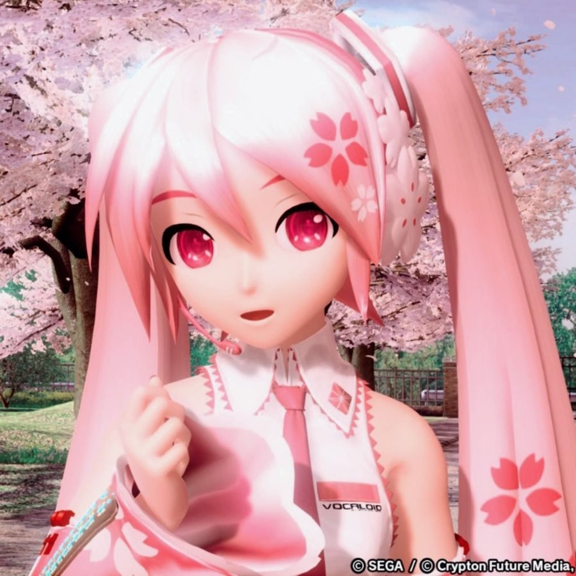 Sakura Miku