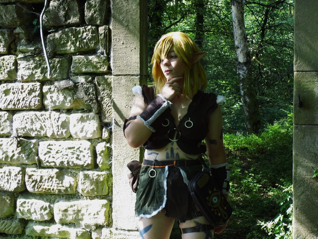 Link barbare  - Photo 1