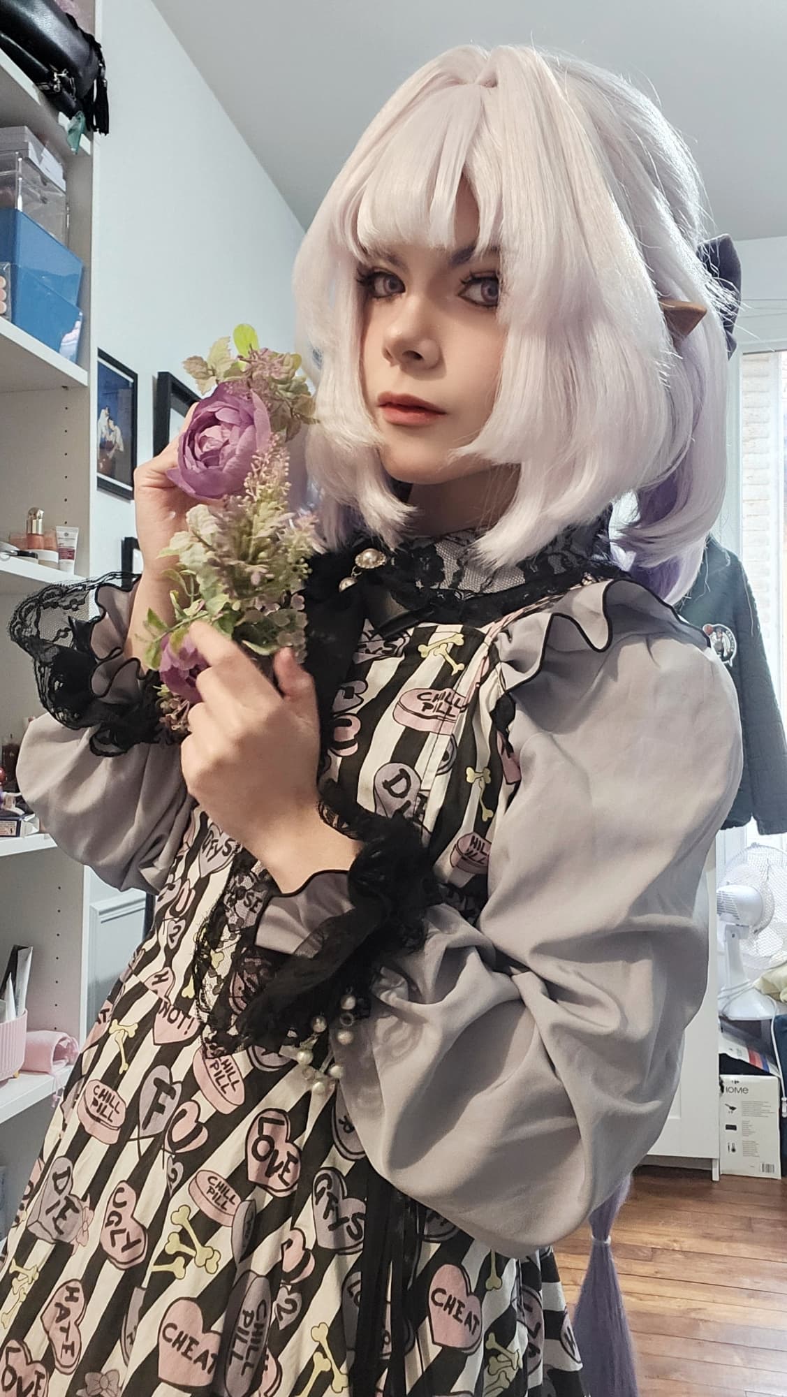 Castorice 1 - Photo 7