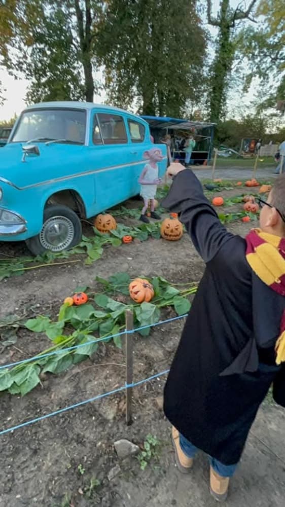 Harry potter  - Photo 15