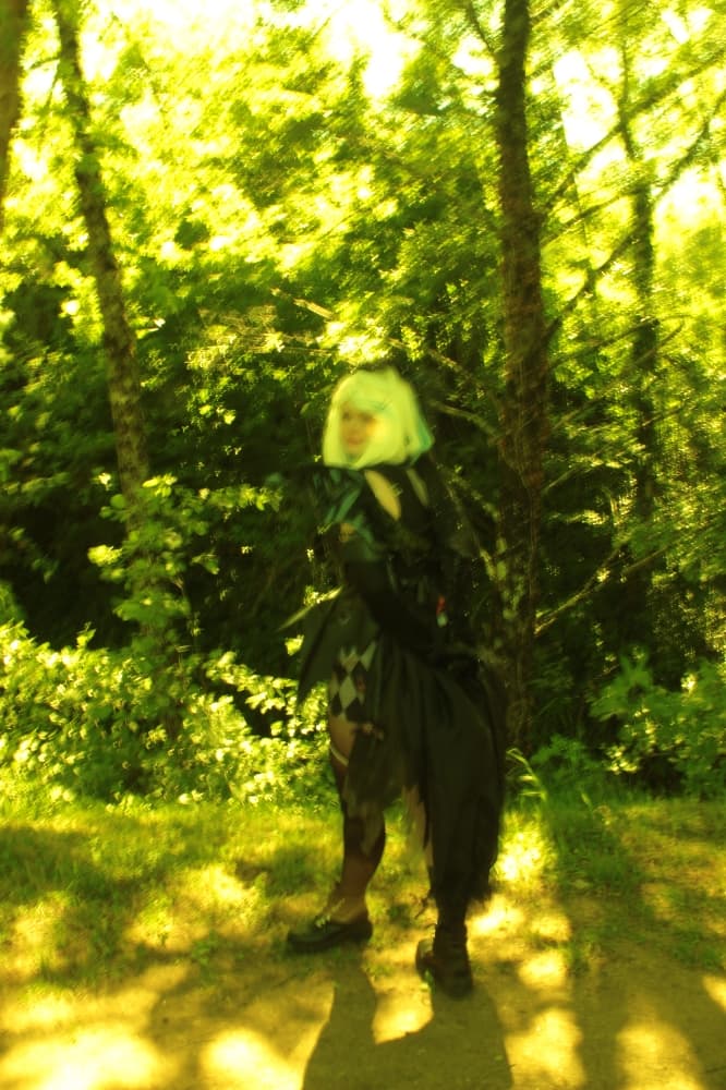 Furina LDV  - Photo 11