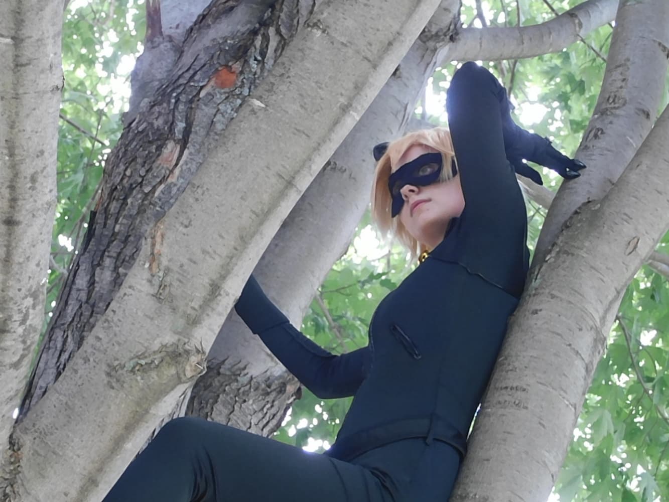 Chat Noir - Photo 31