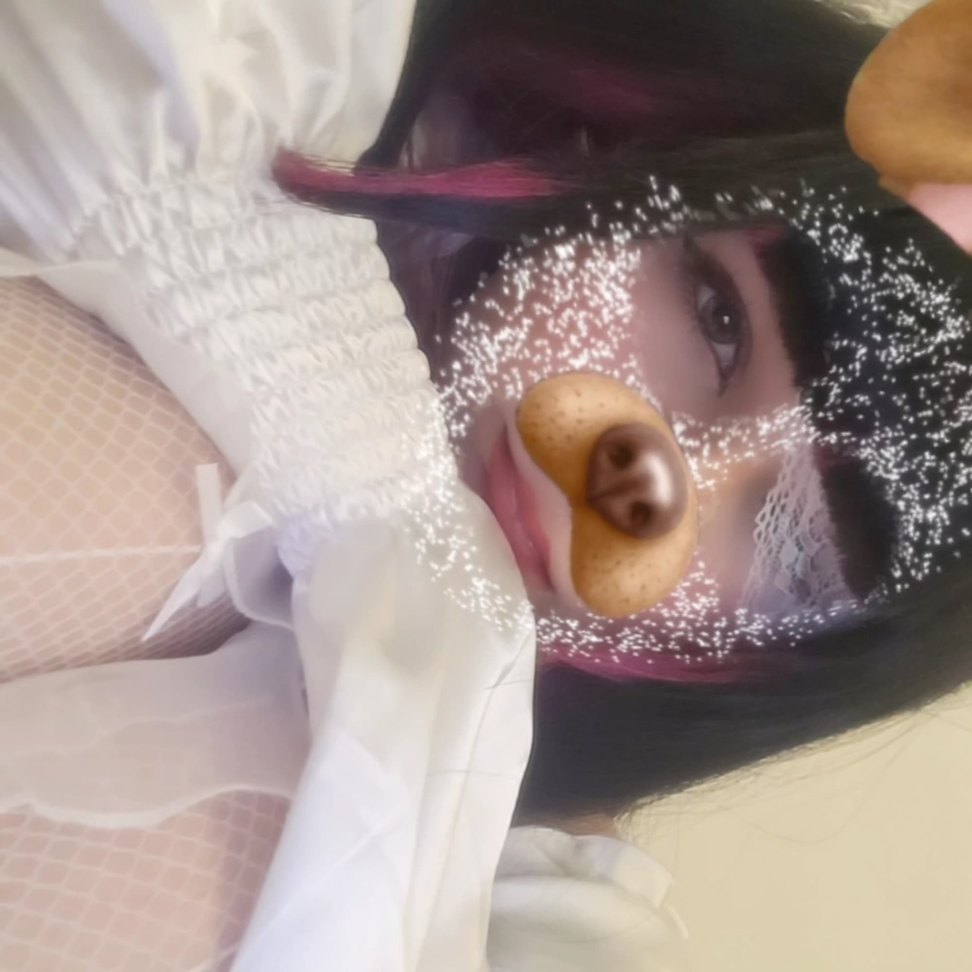 Columbina  - Photo 3