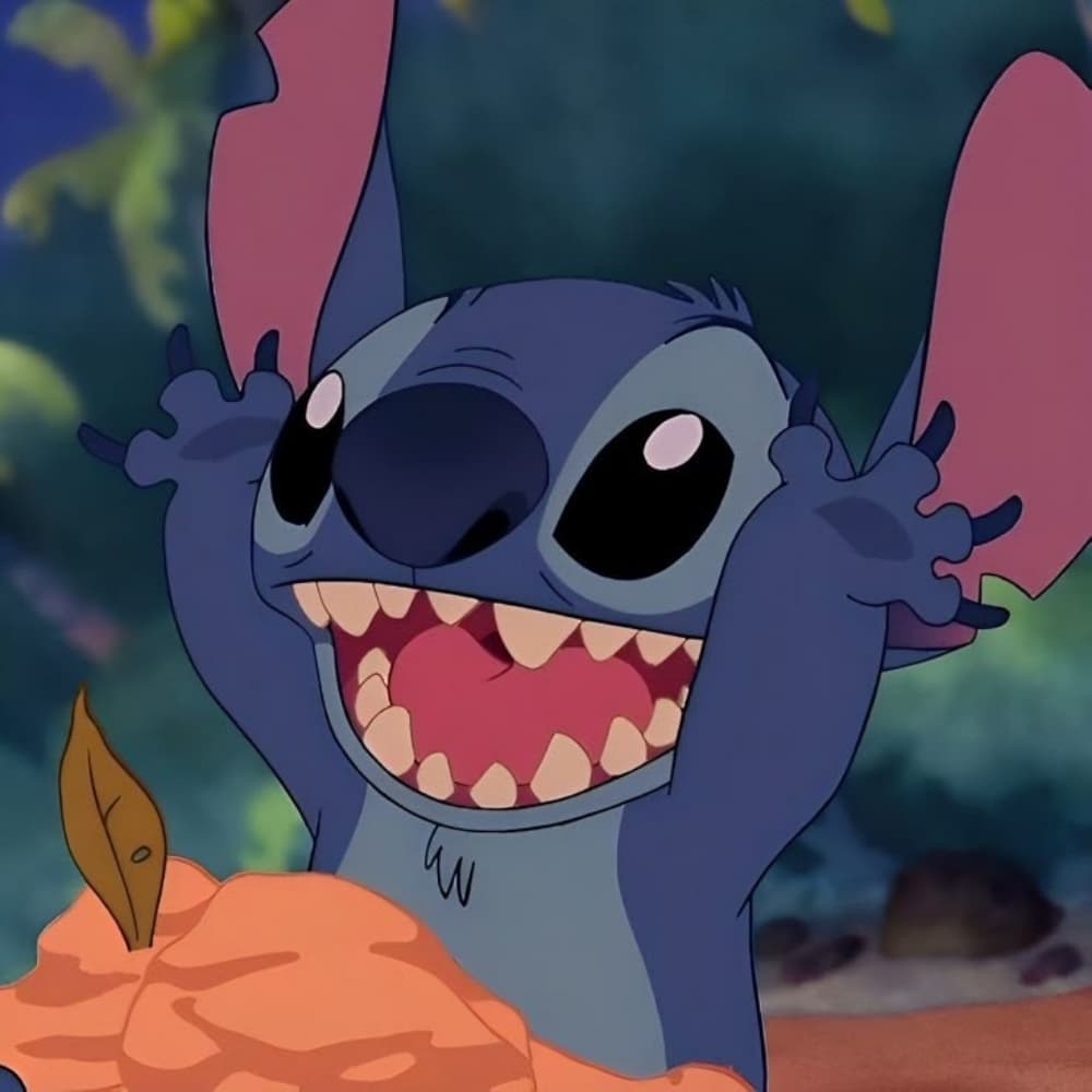 Stitch