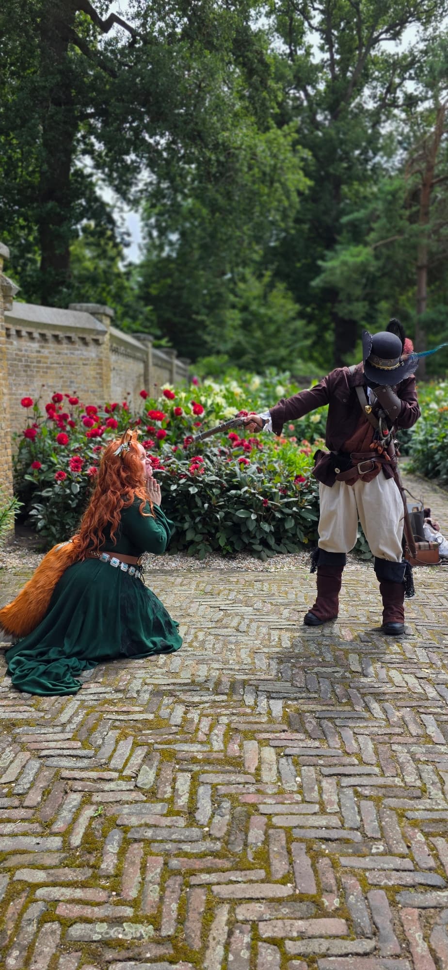 Summer fox  - Photo 13