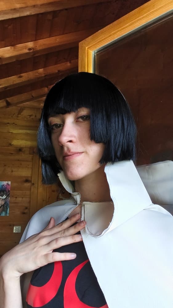 Amaryllis (costest) - Photo 6