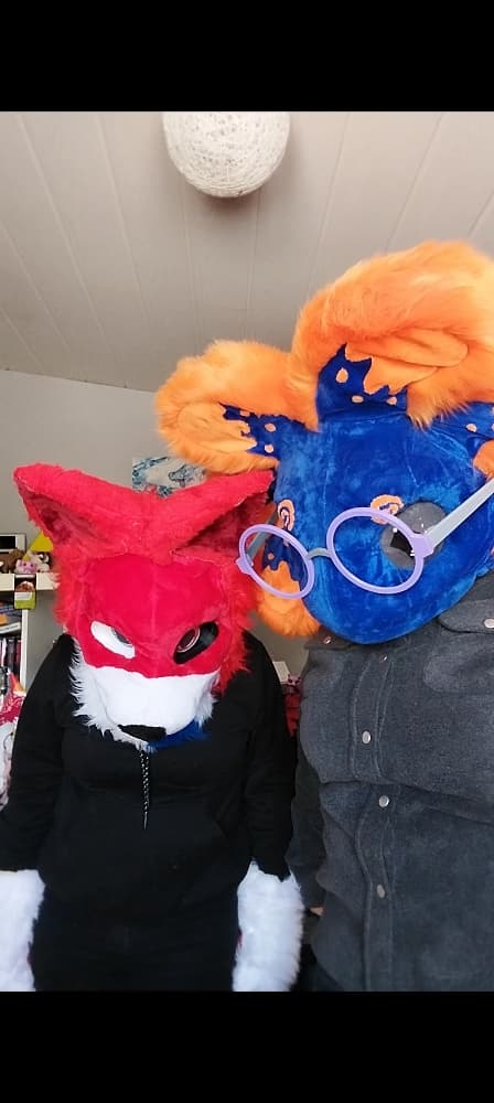 Stellar et Rød Ulva - Photo 4