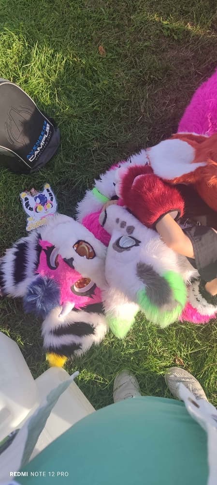 Folie furmeet - Photo 6