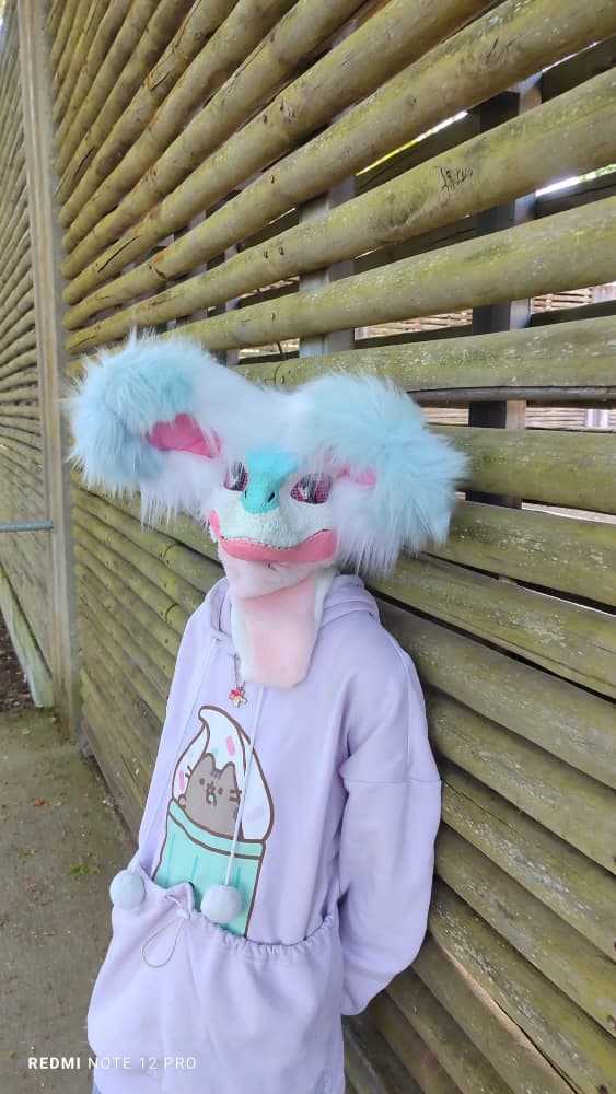 Debut du printemps  - Photo 39