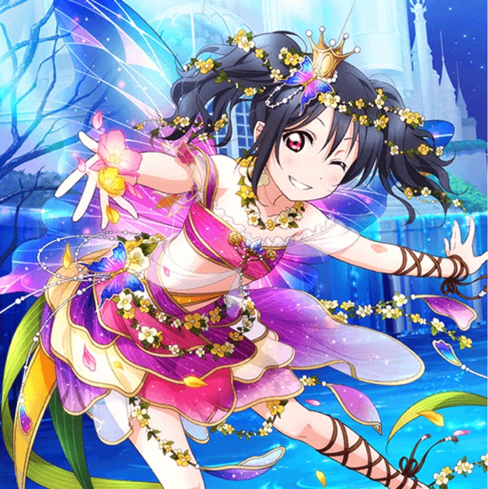 Nico fairy 