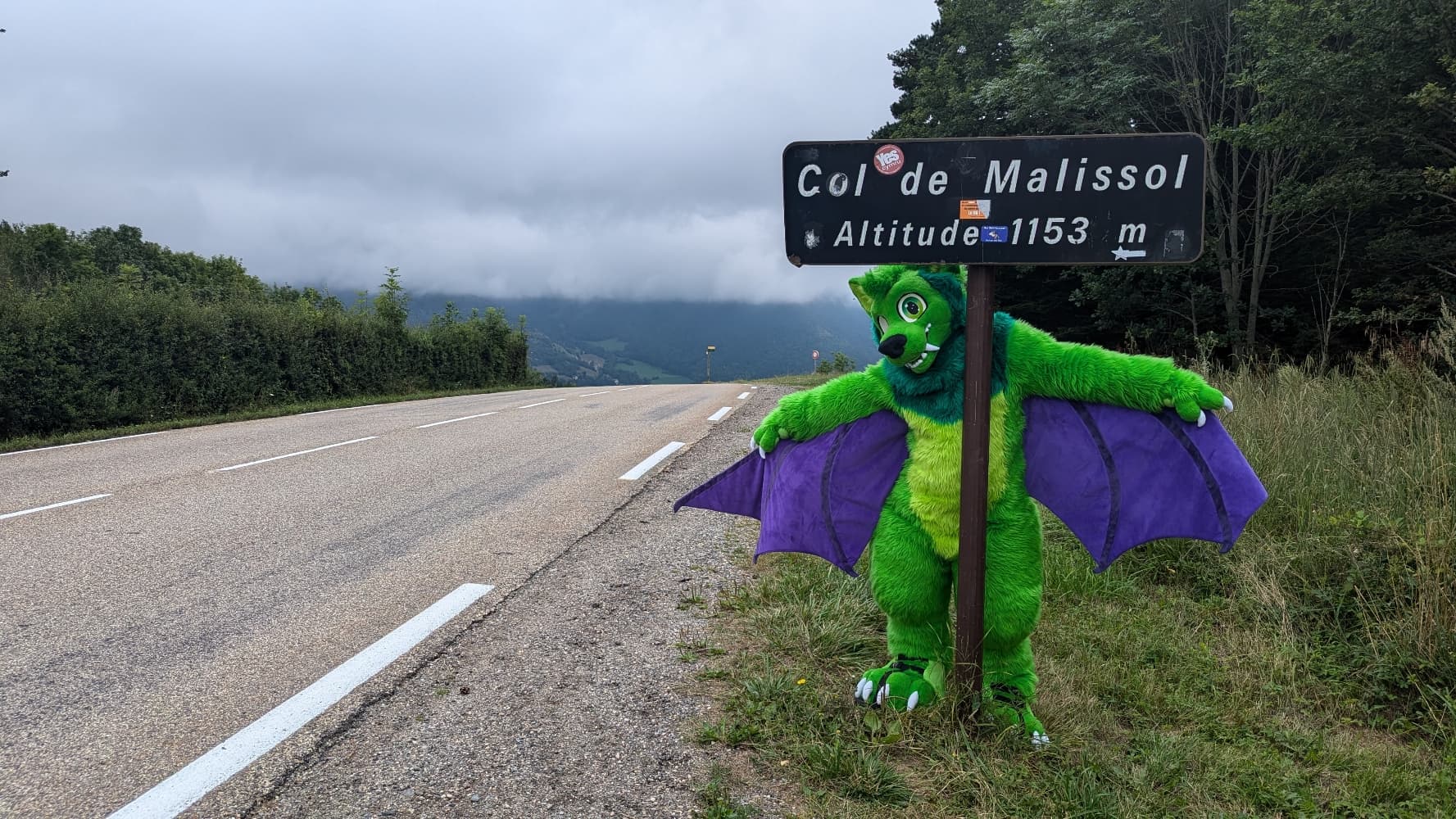 
A dark forest - Photo 8