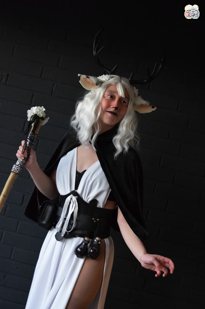 Faune noir et blanc - Photo 2