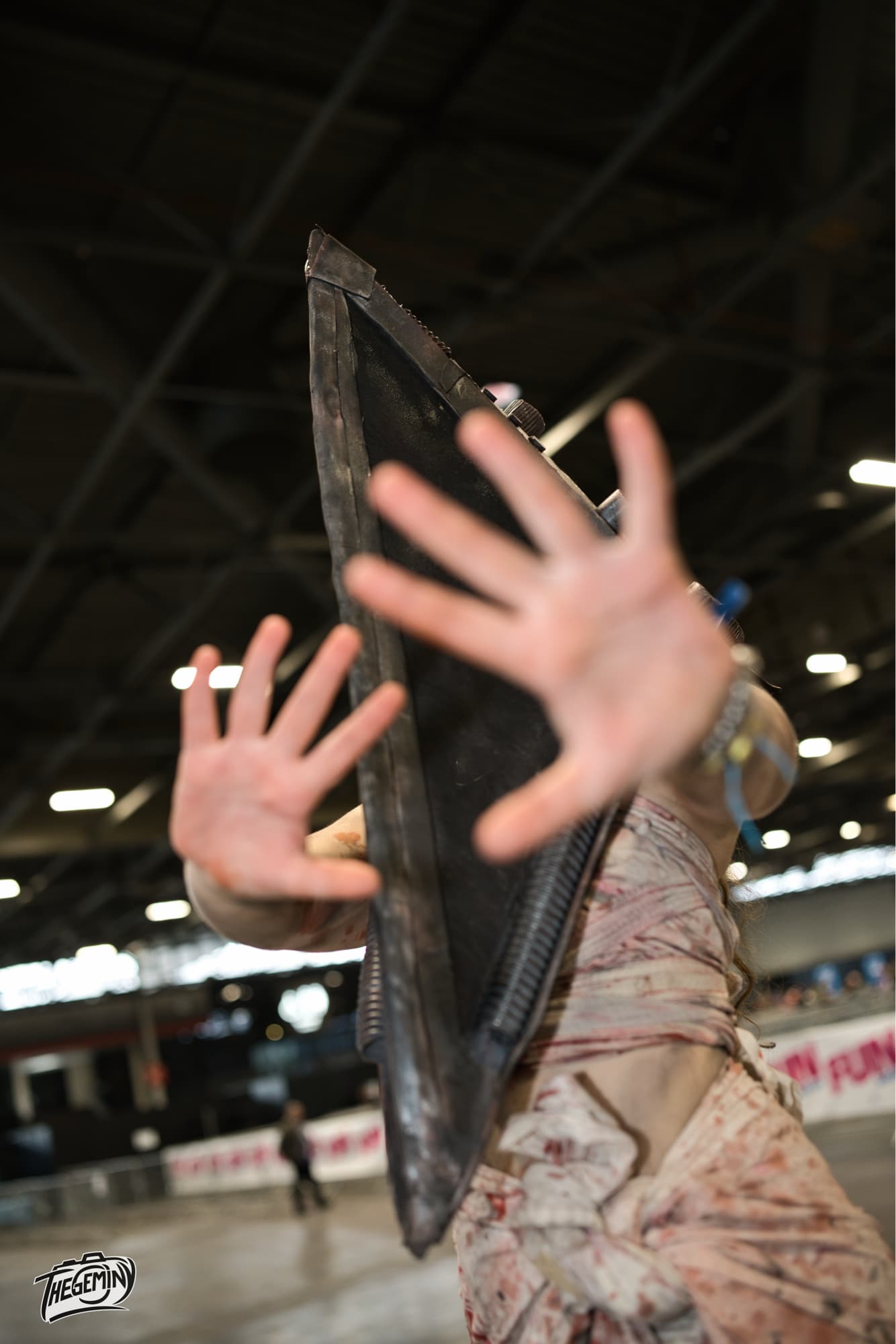 Pyramid head  - Photo 9