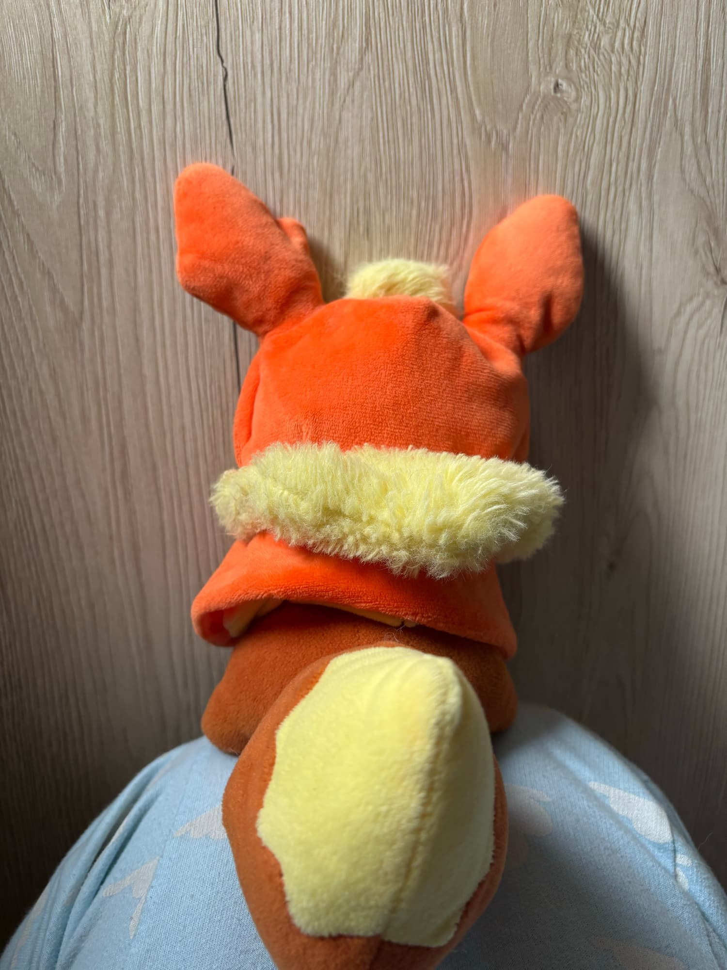 Evoli en Pyroli  - Photo 6