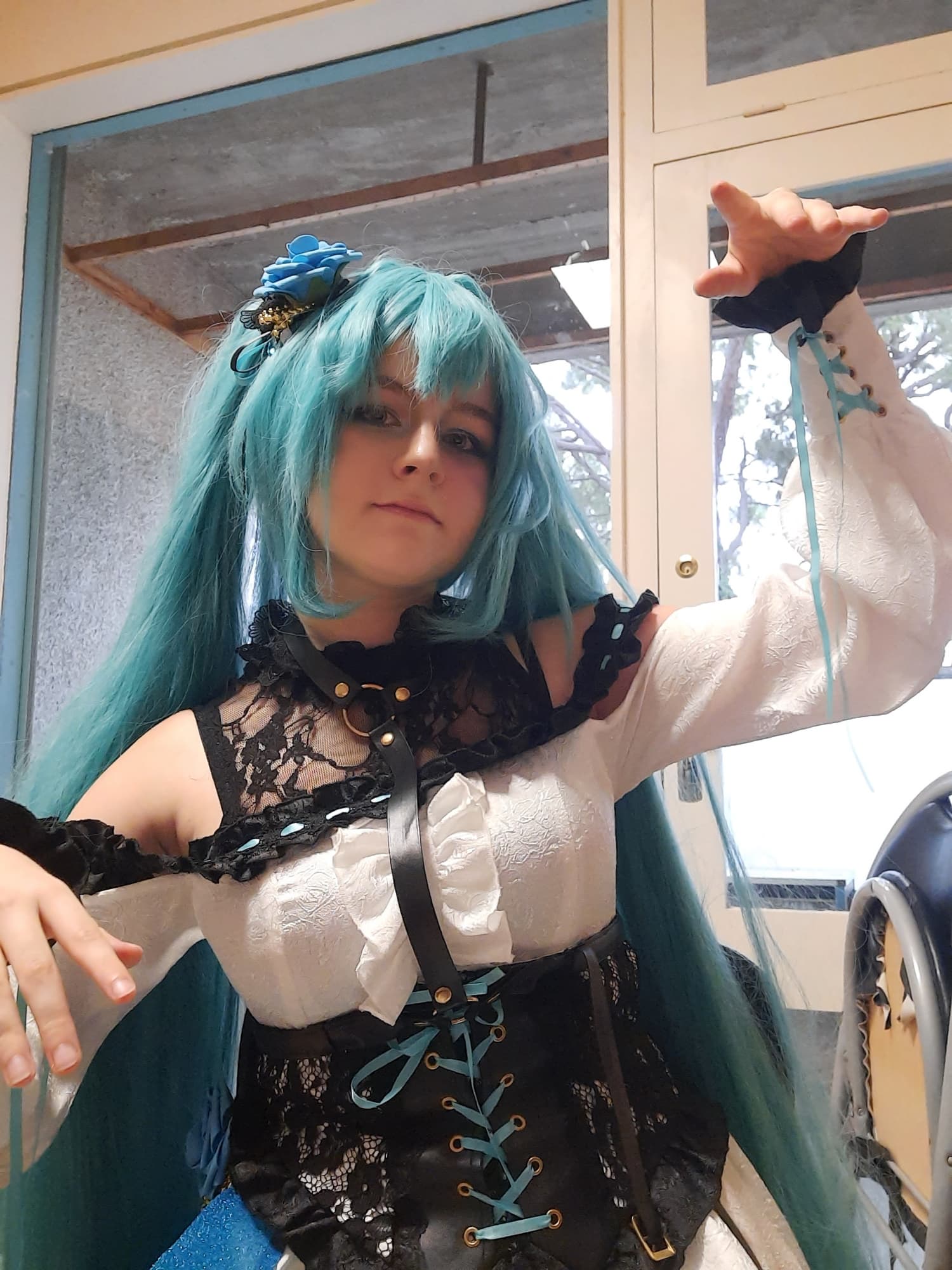 Miku - Photo 9