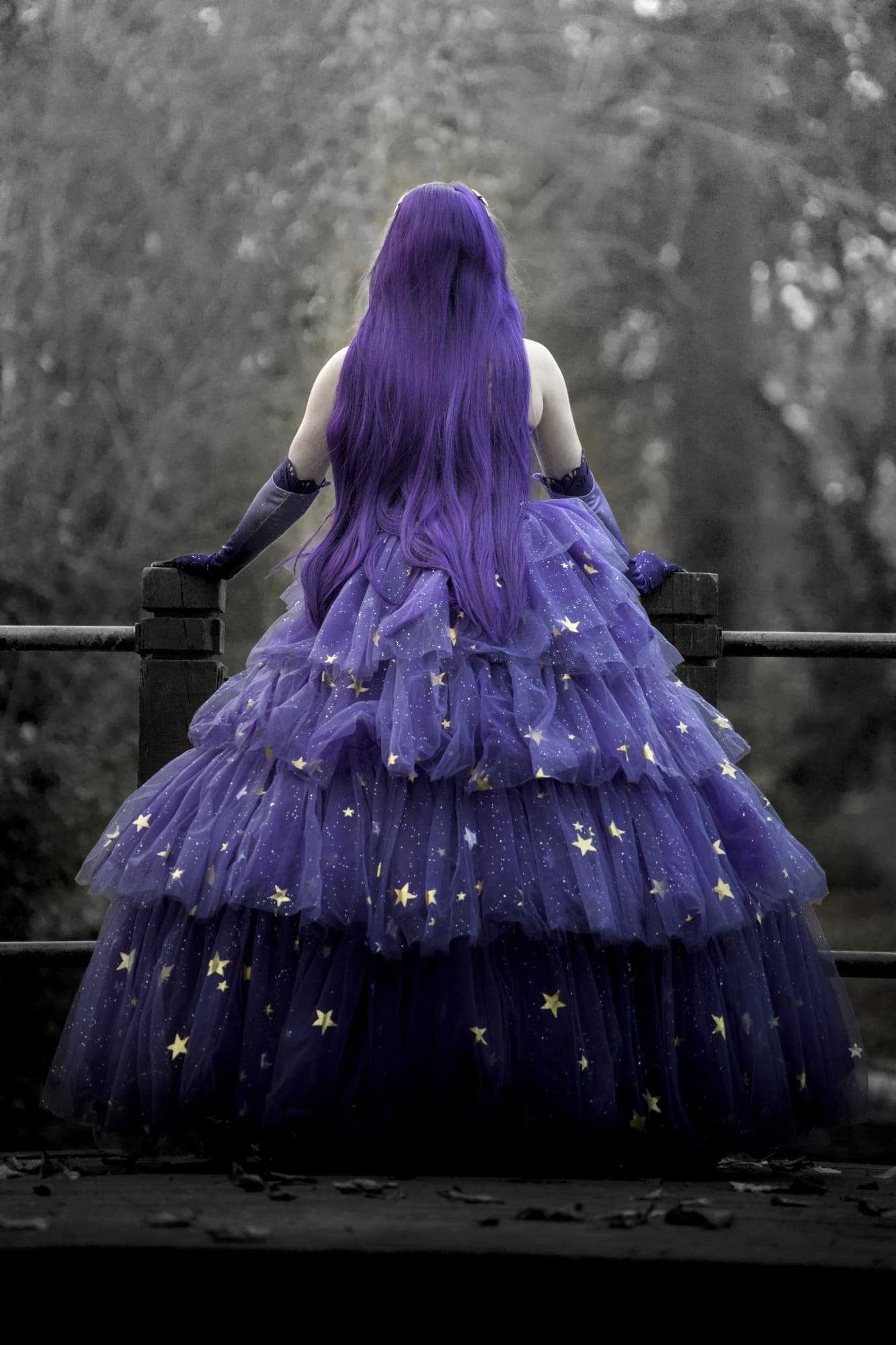 La mer étoilée - Photo 4