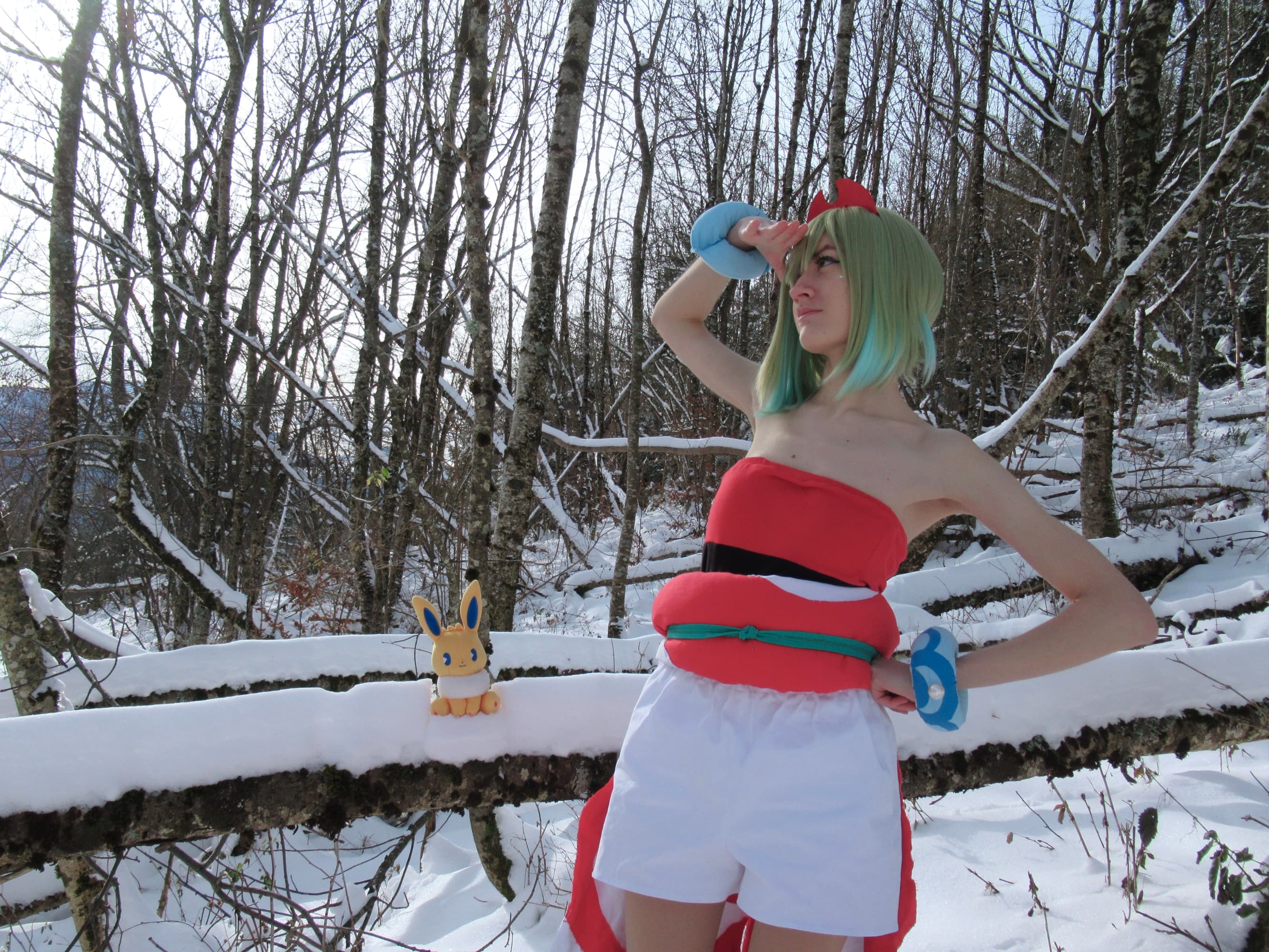 Nacchara (neige P3) - Photo 5