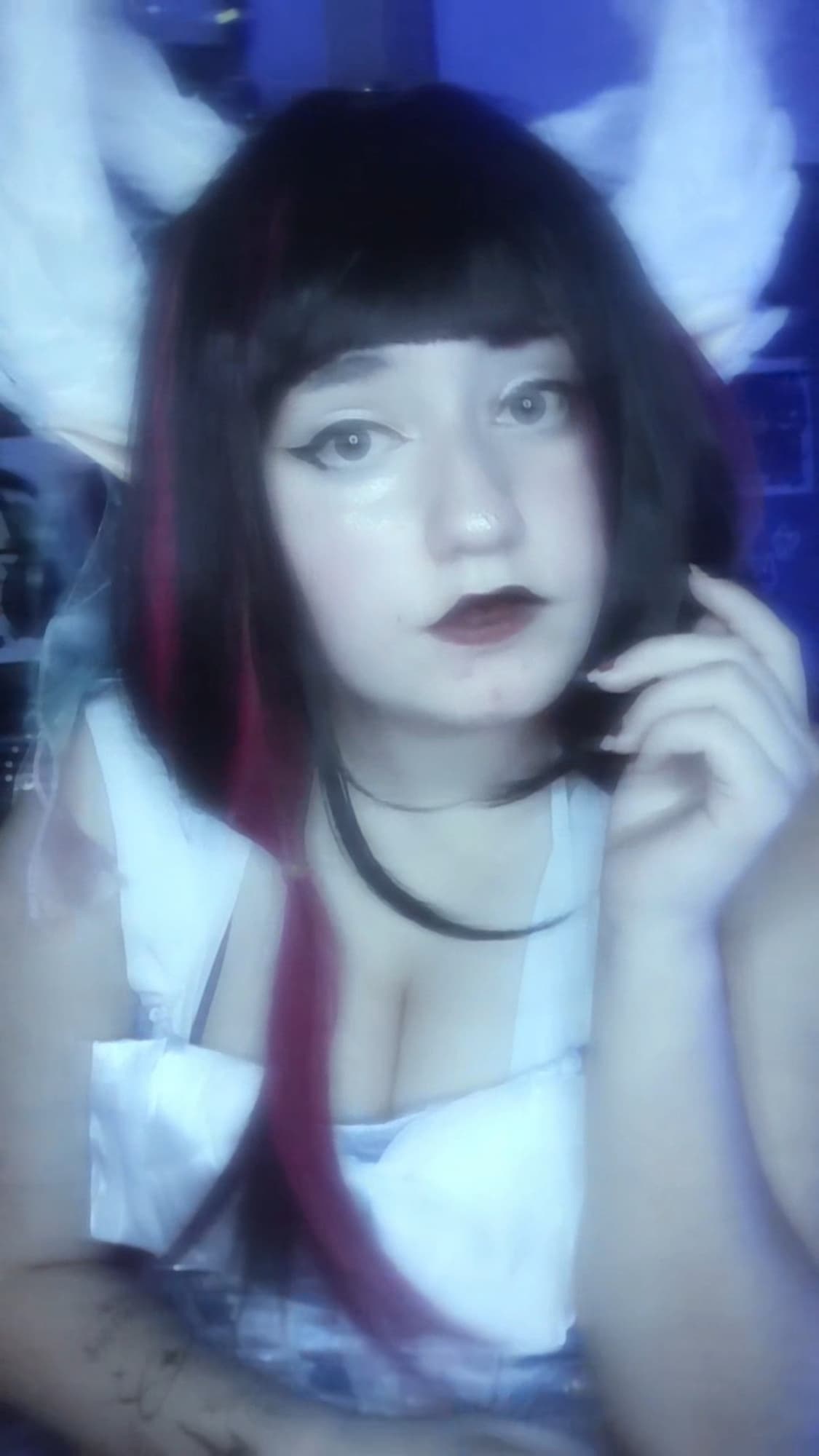 Columbina  - Photo 3