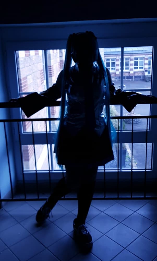 Hatsune miku  - Photo 15