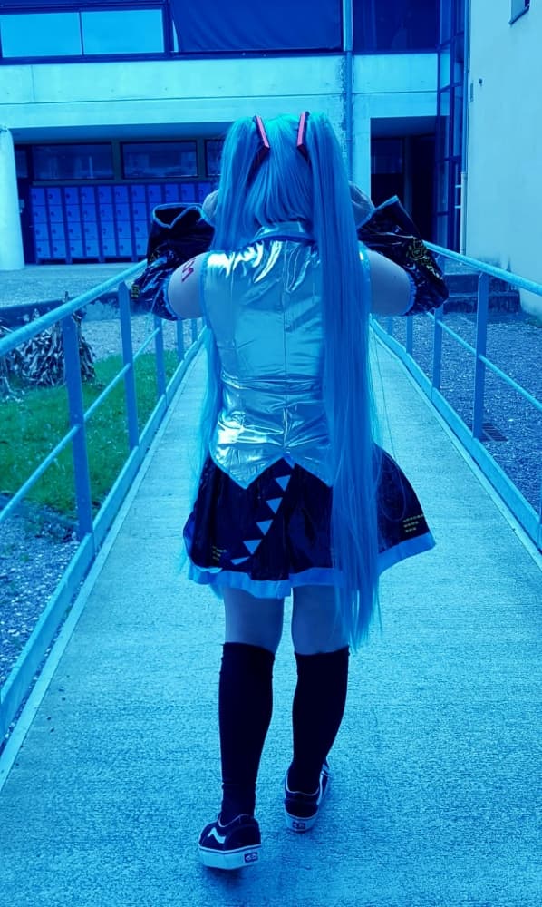 Hatsune miku  - Photo 16