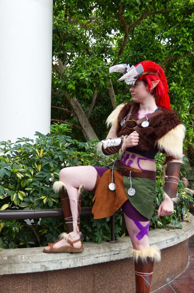 Barbarian link - Photo 6