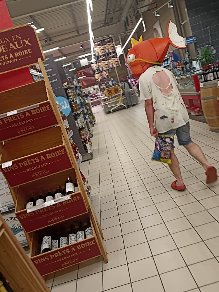 Magicarpe Zombie  - Photo 14