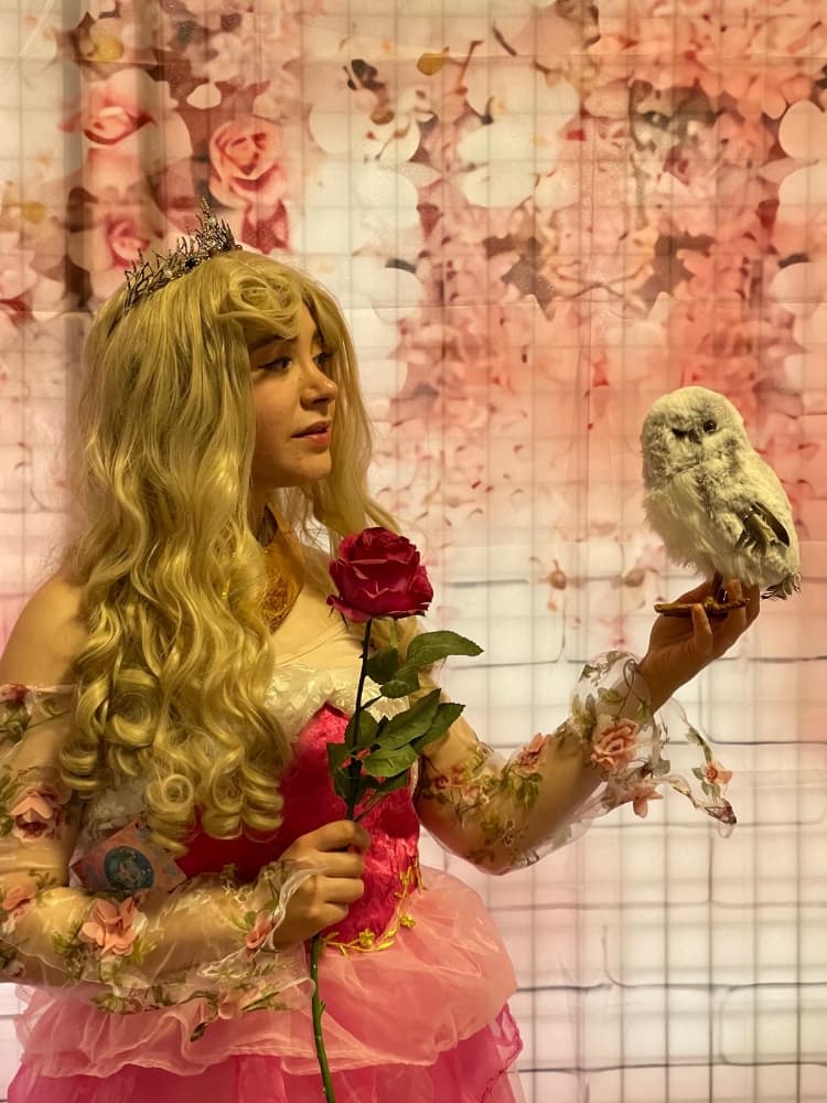 Princesse Aurore - Photo 7