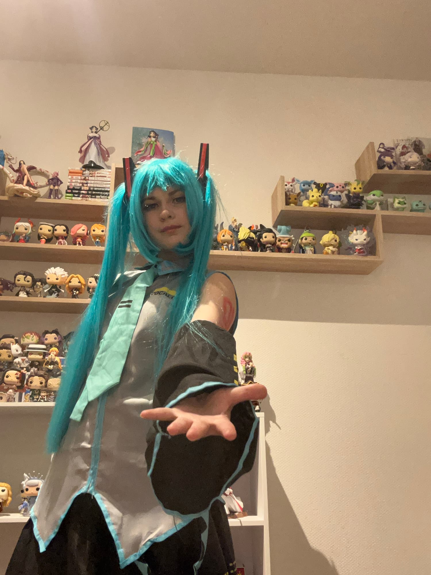 Hatsune Miku  - Photo 5