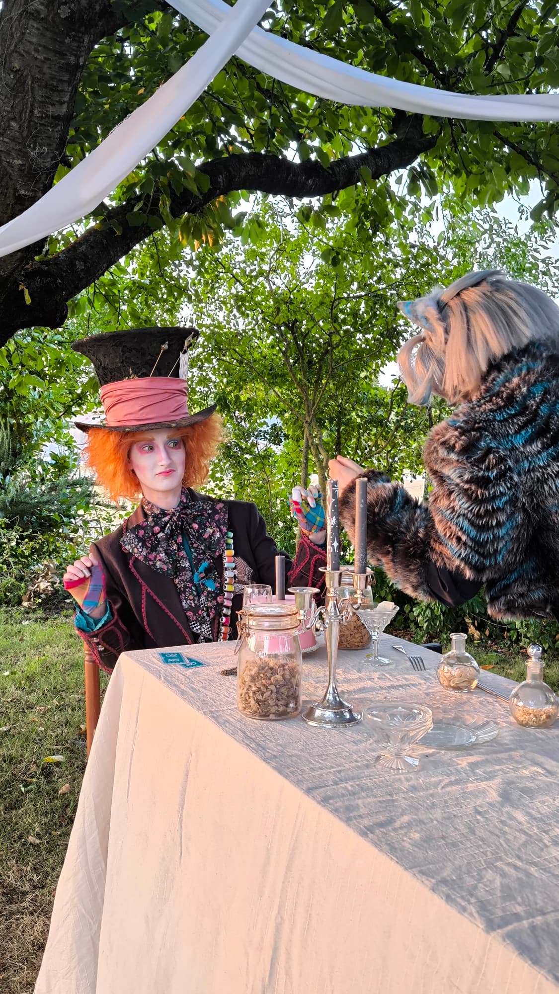 Chapelier/Cheshire - Photo 11