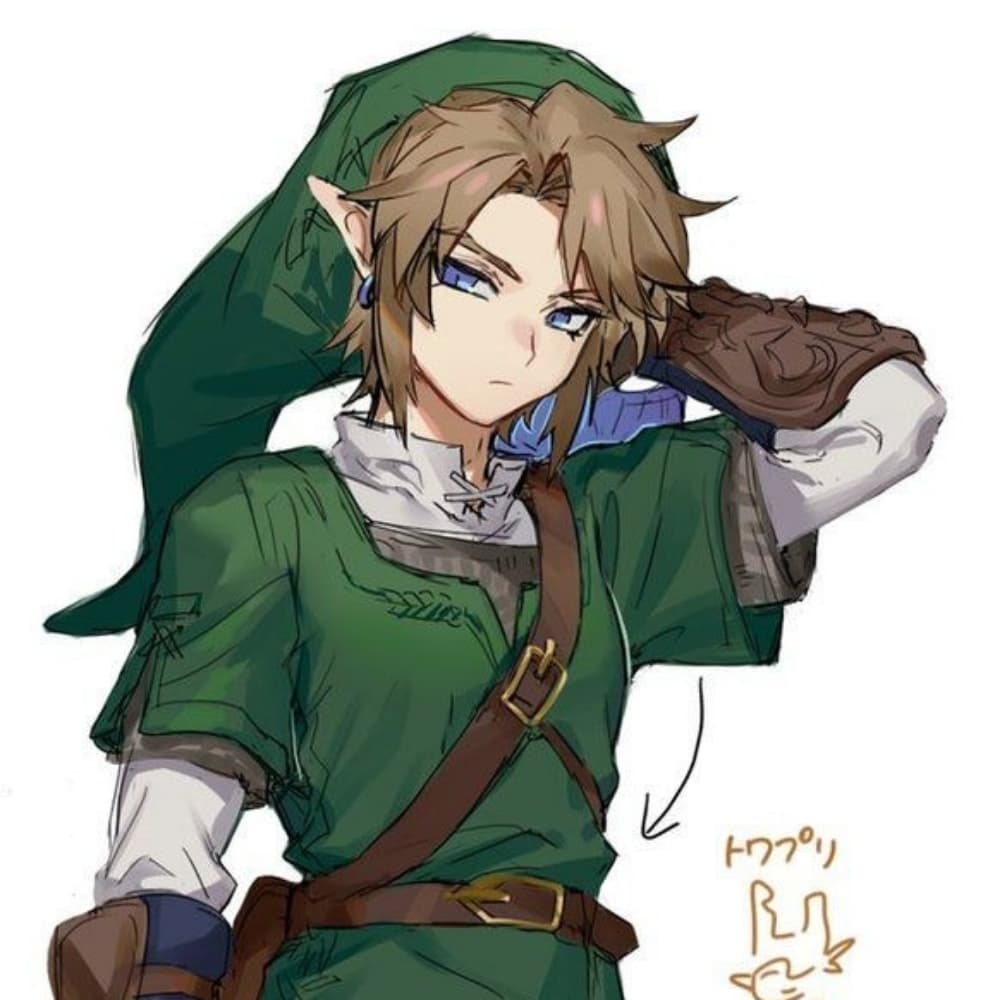 Link Twilight Princess 