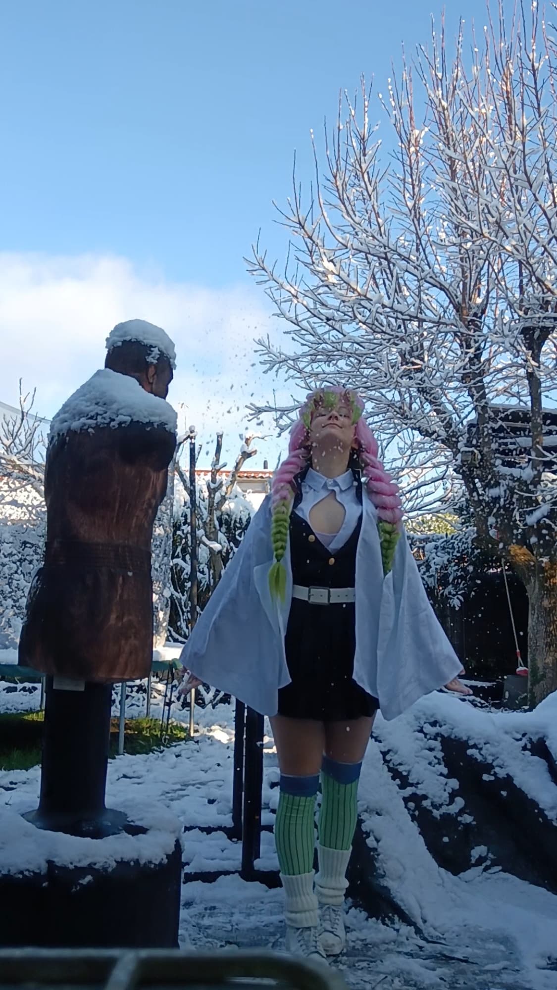 Mitsuri Kanroji - Photo 10