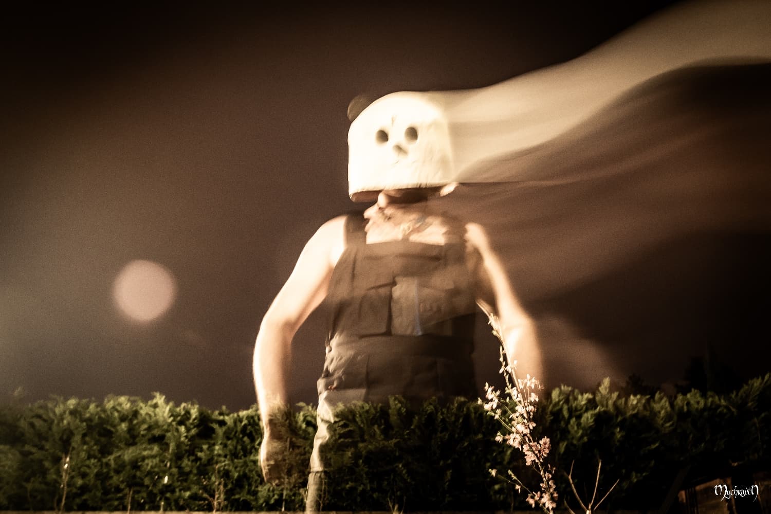 Pandaman test flou - Photo 3