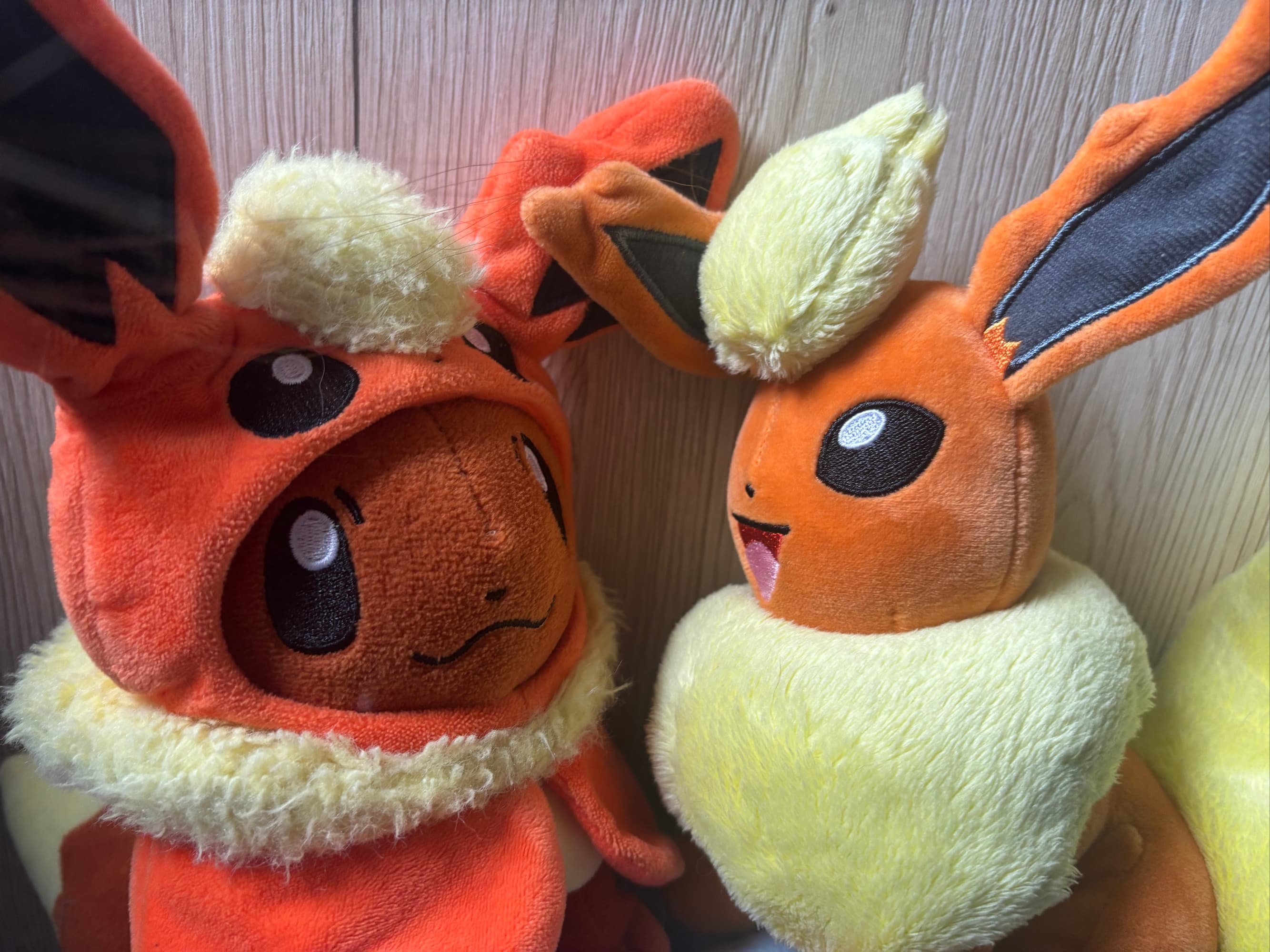 Evoli en Pyroli  - Photo 9