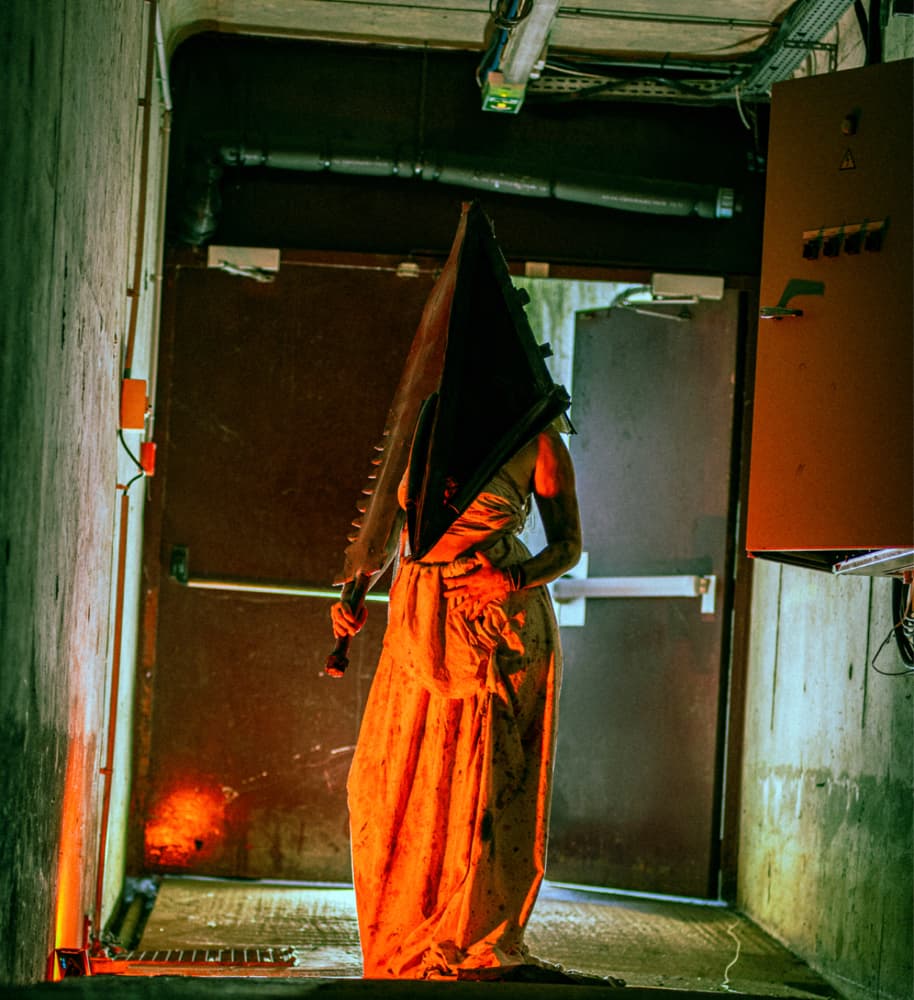 Pyramid head  - Photo 4